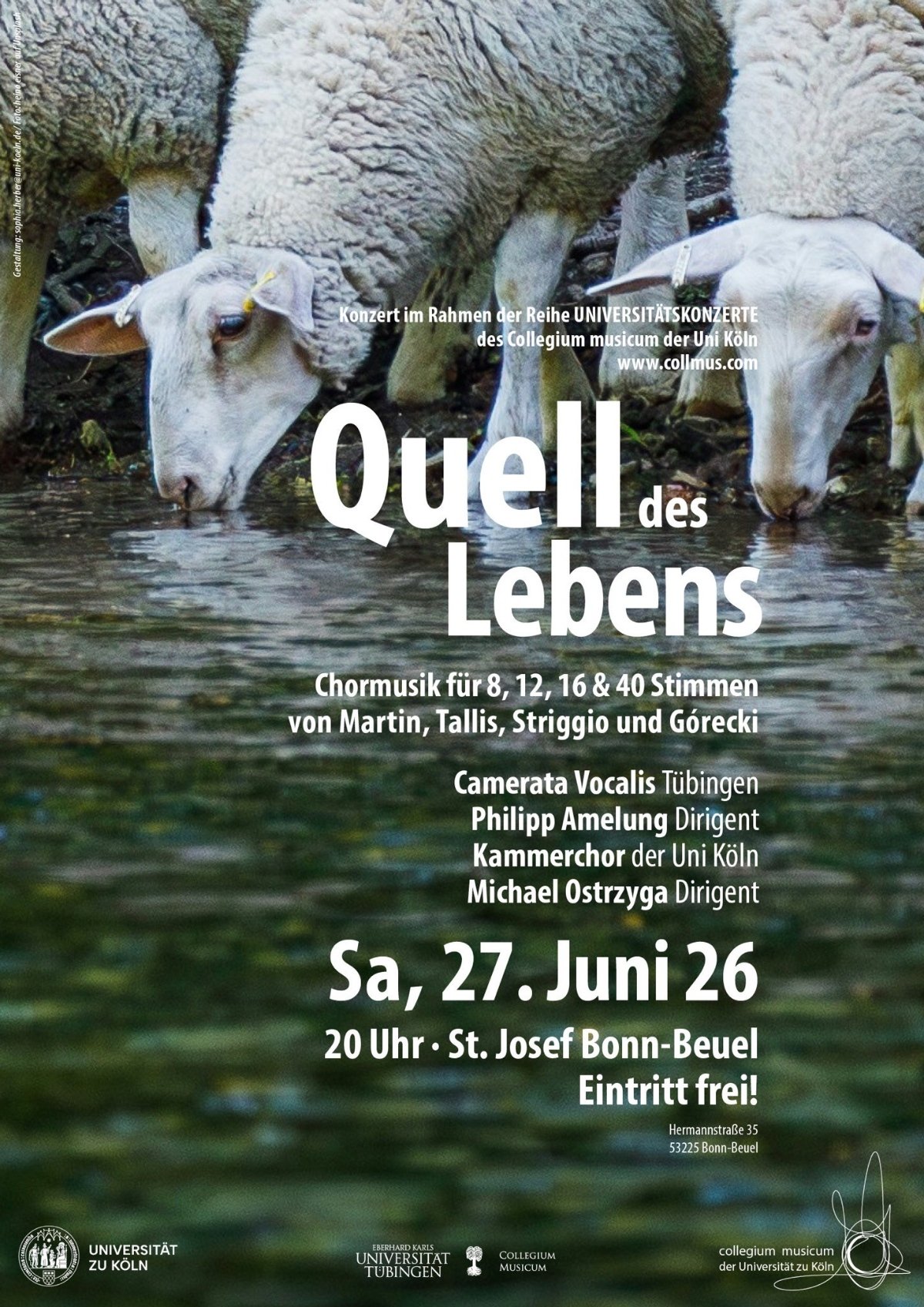 Quelle des Lebens